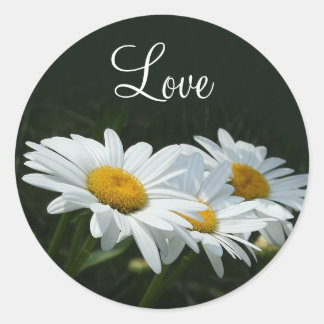 Daisies Love Classic Round Sticker