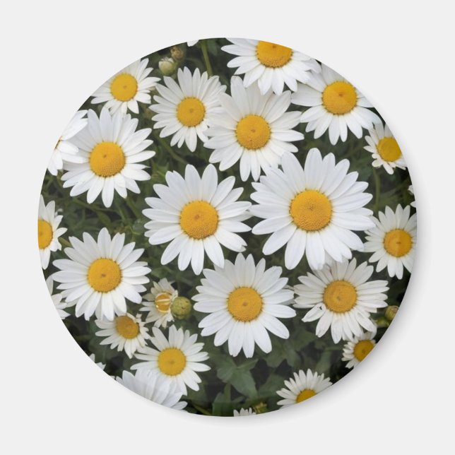 Daisies Magnet (Front)