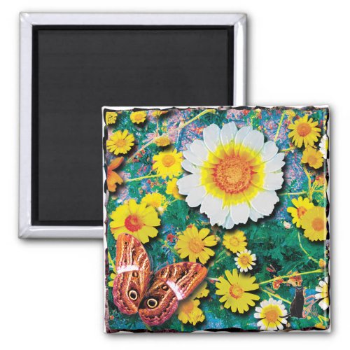 Daisies May Magnet