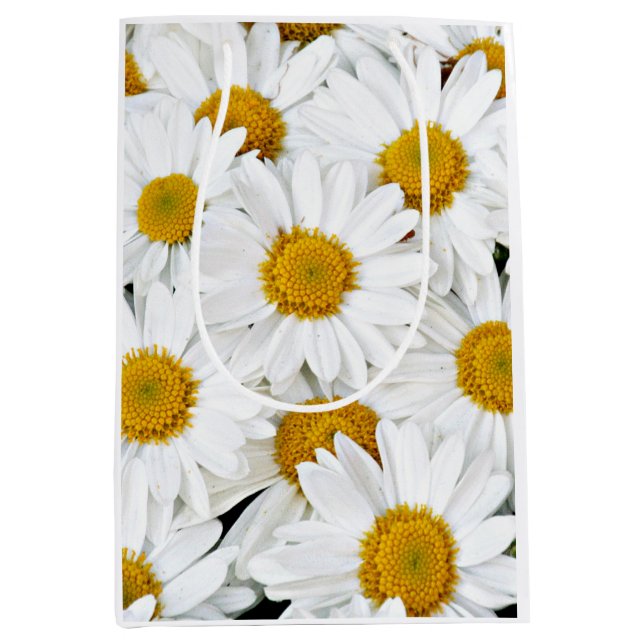 Daisies Medium Gift Bag (Front)