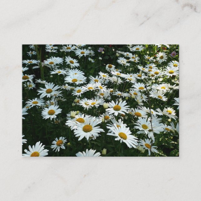 Daisies, Mini Photo Card (Front)