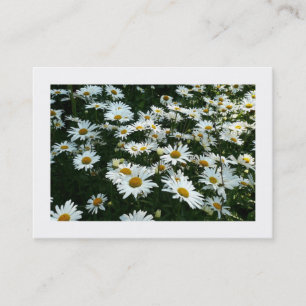Daisies, Mini Photo Card