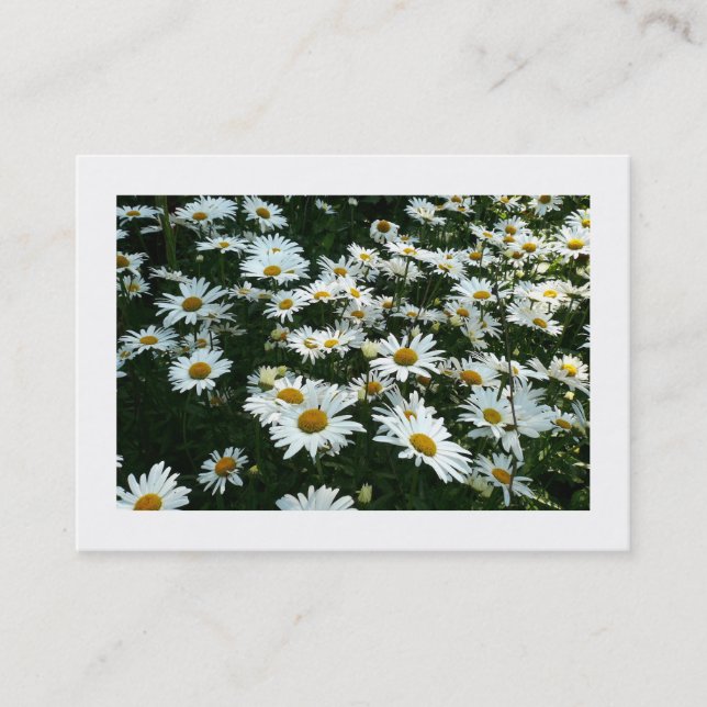 Daisies, Mini Photo Card (Front)