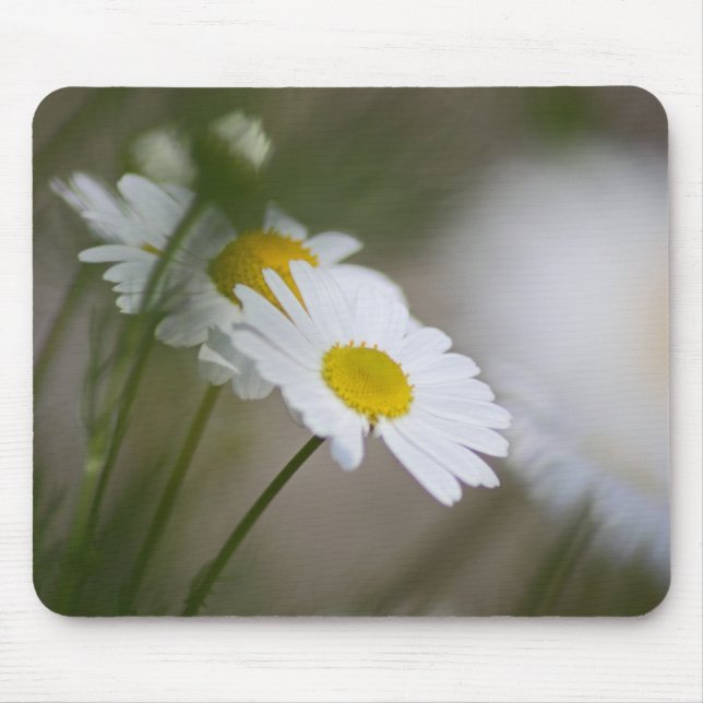 Daisies Mouse Pad (Front)