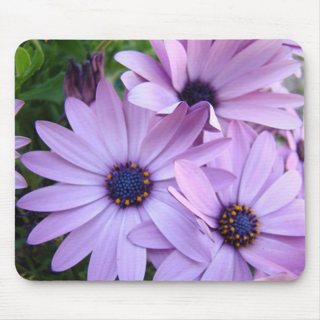 DAISIES MOUSEPAD Daisy Flowers Mouse Pads (Front)