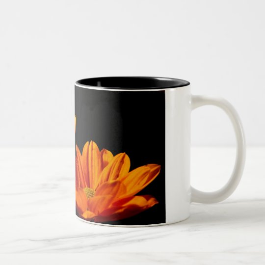 Daisies N Autumn Two-Tone Coffee Mug