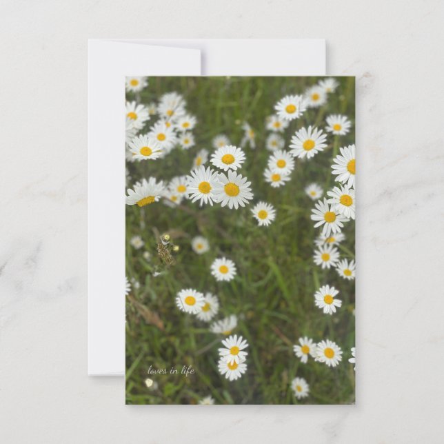 Daisies Note Card (Front)