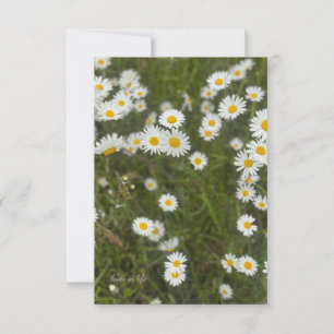 Daisies Note Card