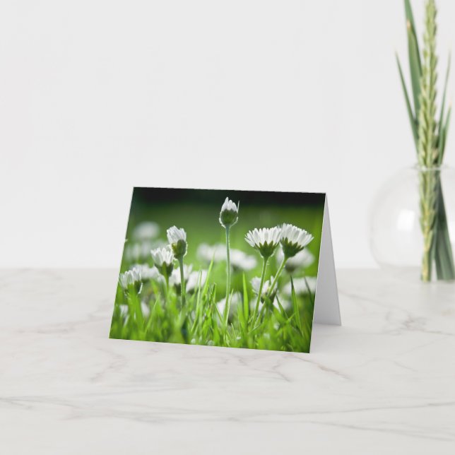 Daisies Note Card (Front)