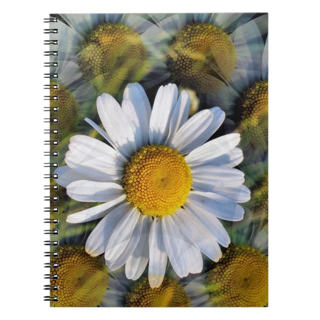DAISIES NOTEBOOK (Front)
