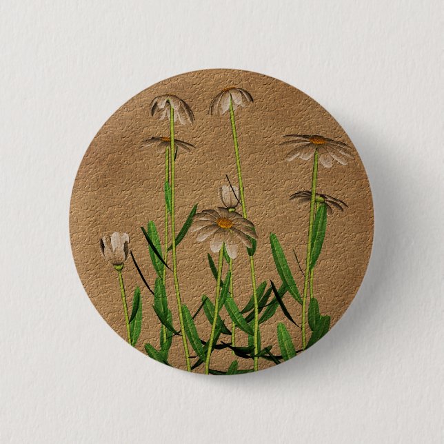 Daisies On Aged Paper Floral Pinback Button (Front)