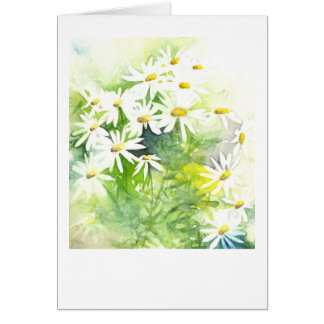 Daisies on green cards