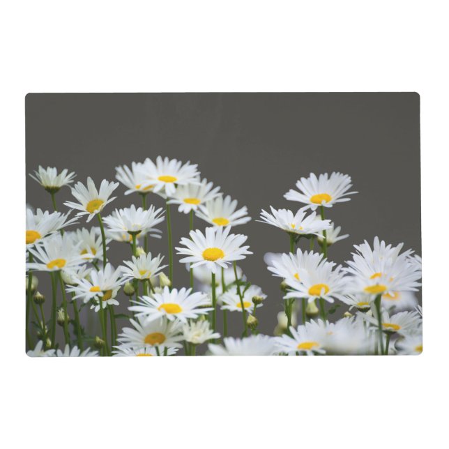 Daisies on Grey Placemat (Front)