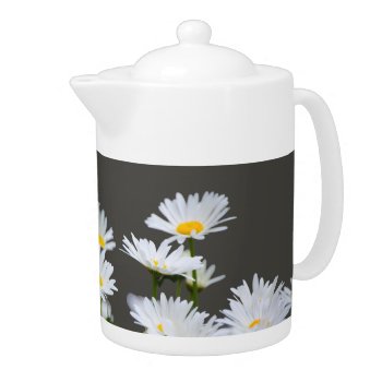 Daisies On Grey Teapot by LouiseBDesigns at Zazzle