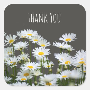 Daisies On Grey Thank You Square Sticker by LouiseBDesigns at Zazzle