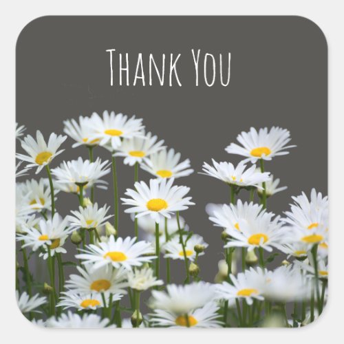 Daisies on Grey Thank You Square Sticker