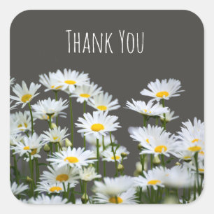 Daisies on Grey Thank You Square Sticker