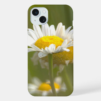 Daisies Photo  iPhone 15 Plus Case
