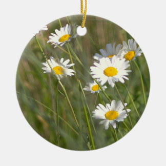 Daisies Photo Ornament