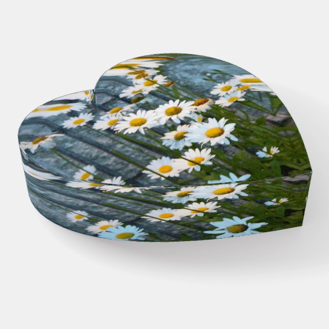Daisies Photo Paperweight (Angled)