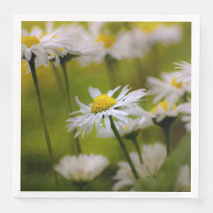 Daisies Photograph Paper Dinner Napkins