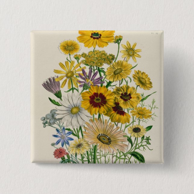 Daisies, plate 31 from 'The Ladies' Pinback Button (Front)