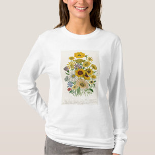 Daisies, plate 31 from 'The Ladies' T-Shirt