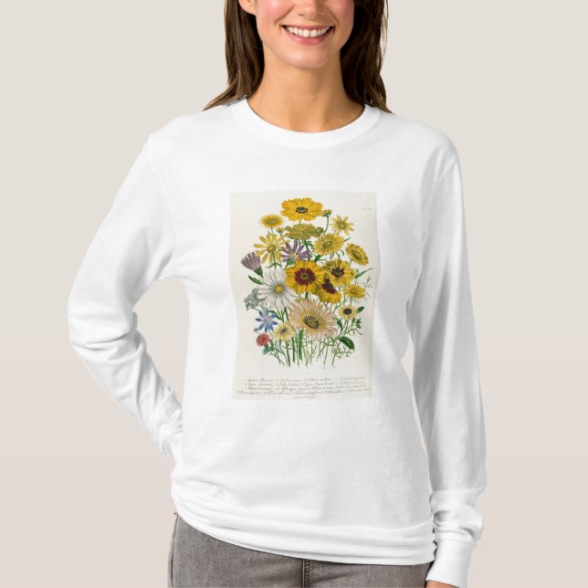 Daisies, plate 31 from 'The Ladies' T-Shirt (Front)