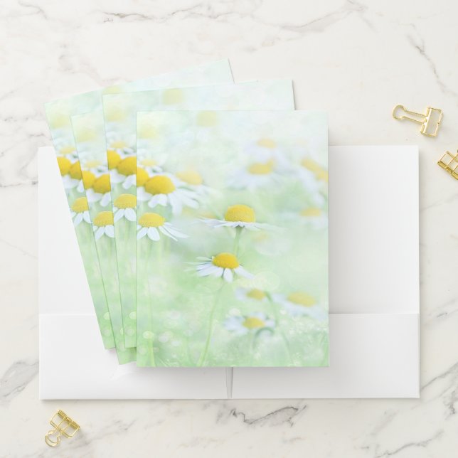 Daisies Pocket Folder (In Situ)