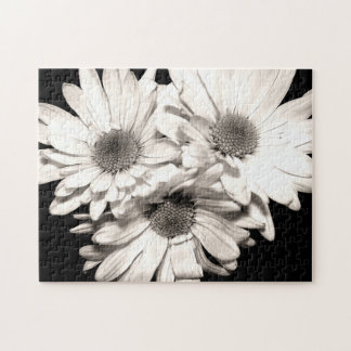 Daisies Puzzle