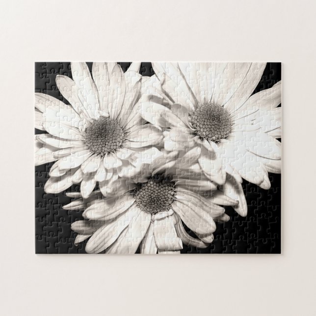 Daisies Puzzle (Horizontal)