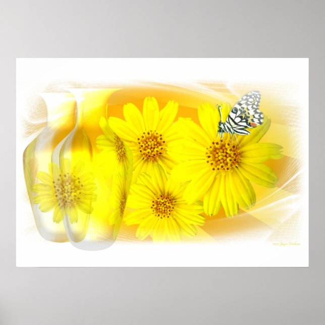 Daisies reflected - Fine Art Poster (Front)