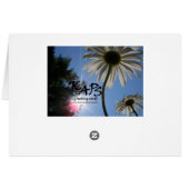 Daisies Rising Cards (Back Horizontal)