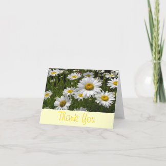 Daisies Thank You Card
