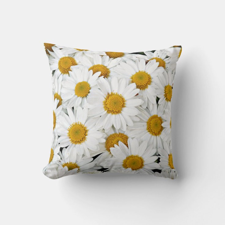 Daisies Throw Pillow Zazzle
