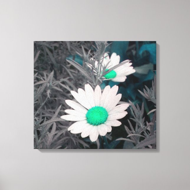 Daisies (w/Green) Wrapped Canvas Print (Front)