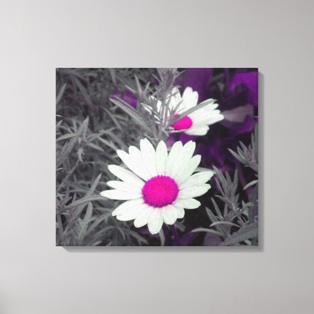 Daisies (w/Pink) Wrapped Canvas Print (Front)