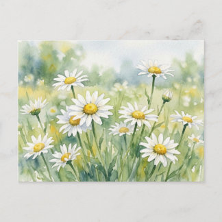 Daisies watercolours Holiday Postcard