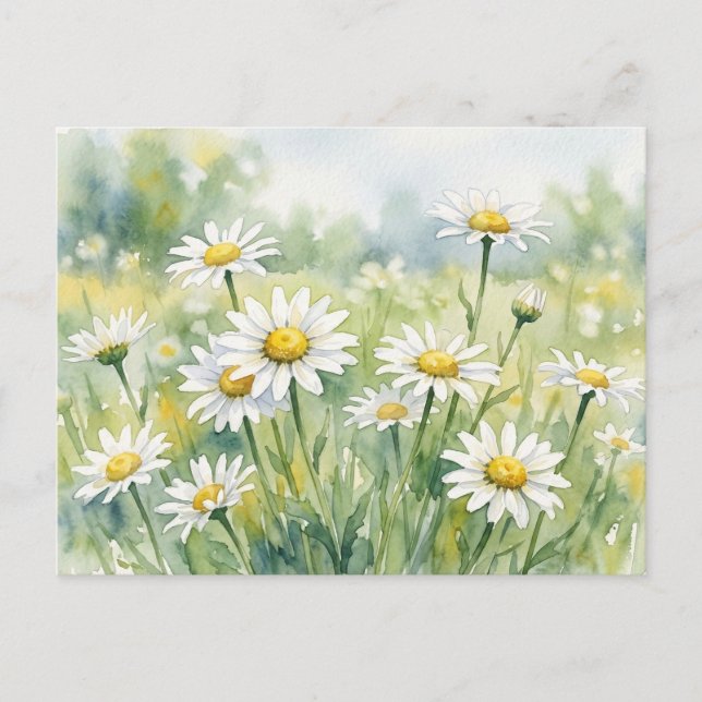 Daisies watercolours Holiday Postcard (Front)