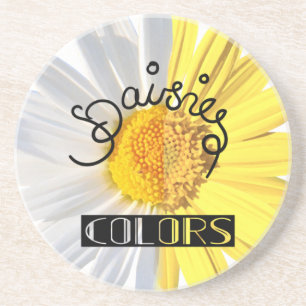 Daisies, white & yellow colors coaster