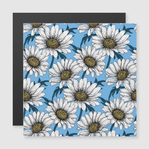 Daisies wild flowers on blue