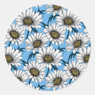 Daisies, wild flowers on blue classic round sticker
