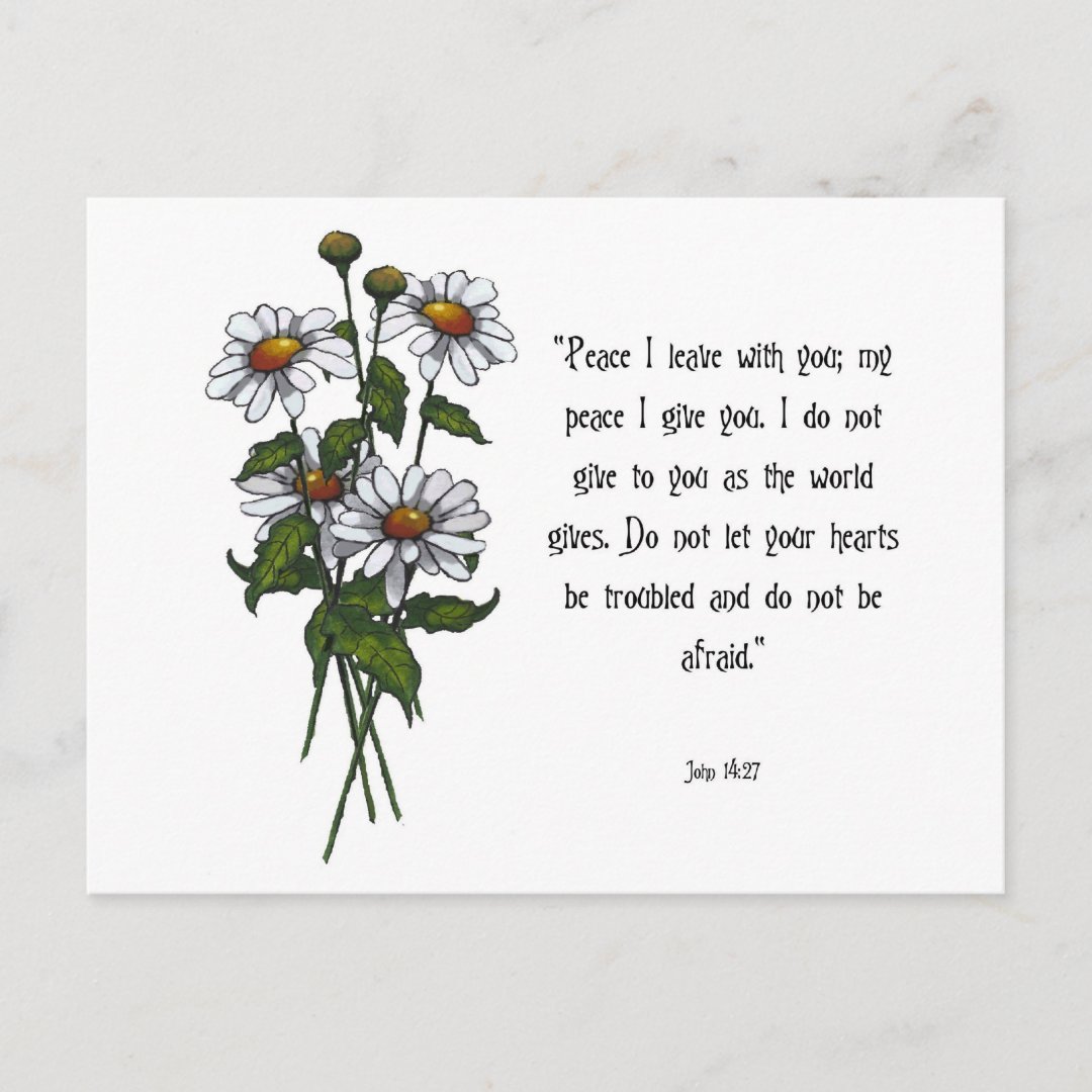 Daisies With Bible Verse God's Peace Postcard Zazzle