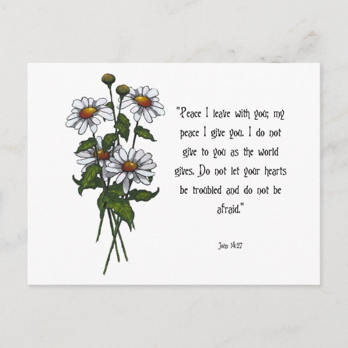 Daisies With Bible Verse God's Peace Postcard Zazzle