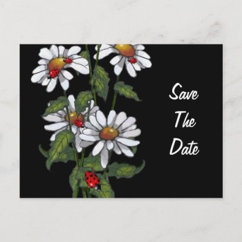 Daisies With Ladybugs: Flowers: Save The Date Announcement Postcard by joyart at Zazzle