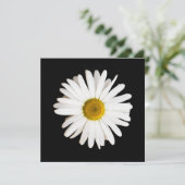 Daisy (Standing Front)