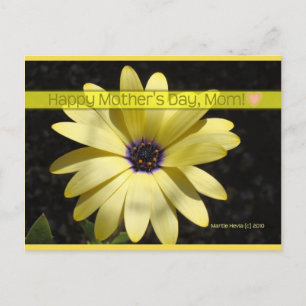 Daisy2 On Mother's Day Blue Beach Song™ Postcard