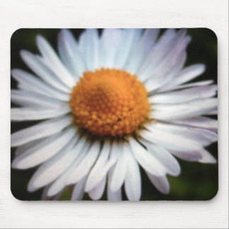 Daisy 1  Mousepad