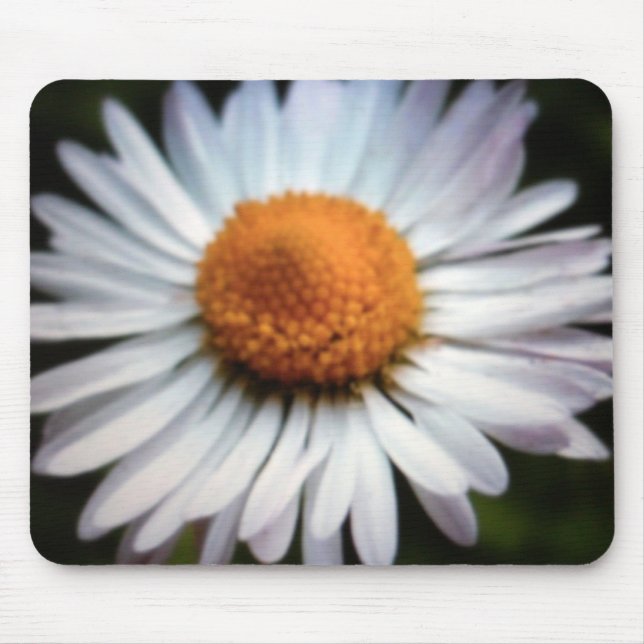 Daisy 1  Mousepad (Front)