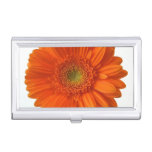 daisy-34.jpg business card holder